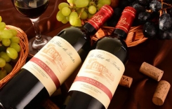 重慶進(jìn)口紅酒哪里有賣的 青睞法國(guó)梅多克Médoc